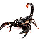 Анастасия Рудакова