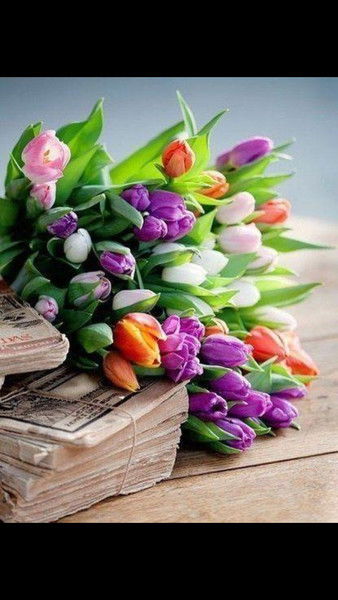 Айгерим Бухарбек