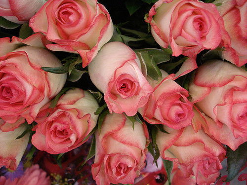 Айнур Мырзабаева