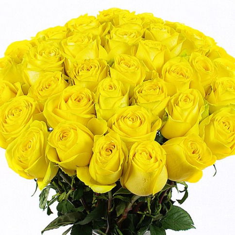 Люсета Сизова