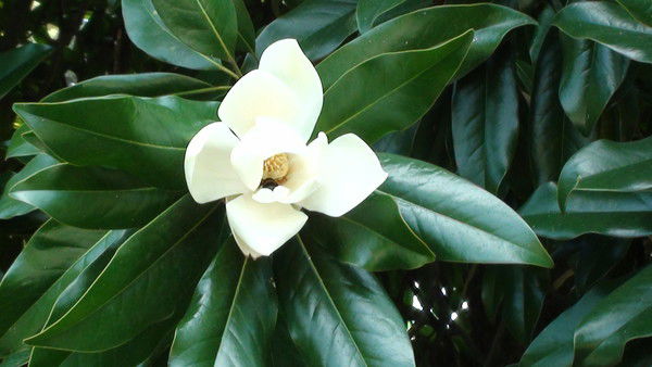 Ирина Будаченкова