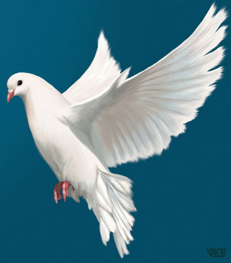 Саодат Саодат