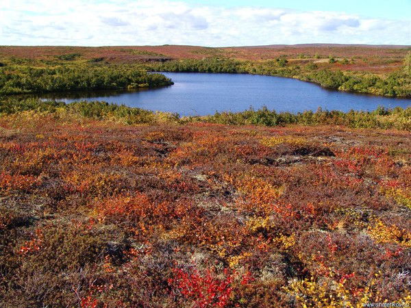 Вячеслав Смирнов