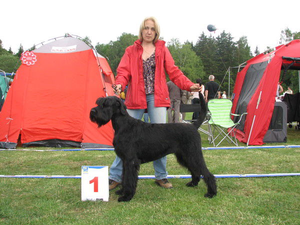 Cветлана Мигаль