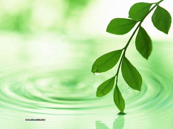 Црб Нижнеангарская