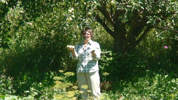 Ольга Ефремова