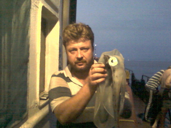 Александр Гаврилов