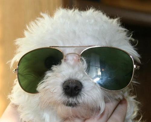 Ольга Чиркина