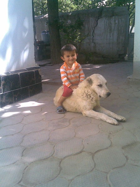 Аслам Сафаров