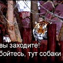 .... ...