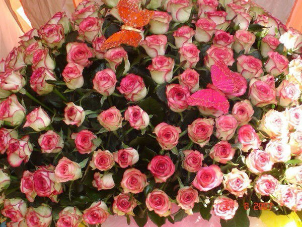 Гулзат Эркинбаева