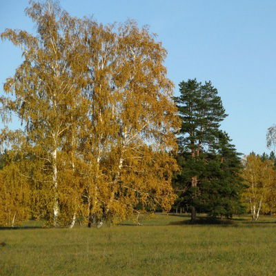 Сергей Михальков