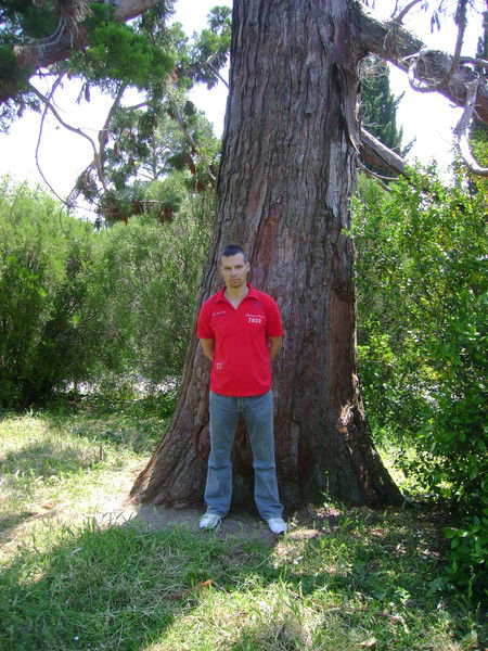 Алексей Харланов