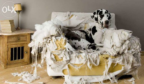 Изготовление Перетяжка Мягкой Мебели