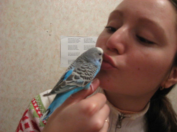 Альбина Зиганшина