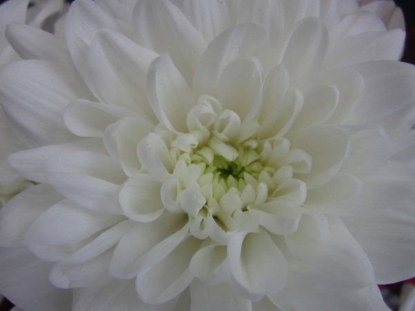 Любовь Азова