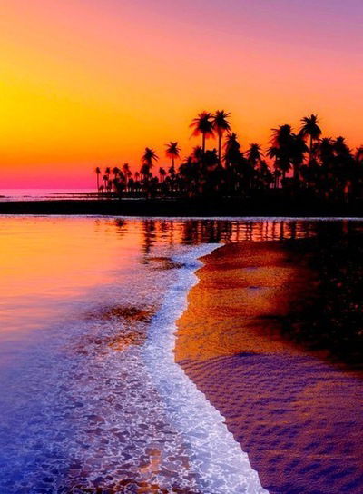 Виктория Верещагина