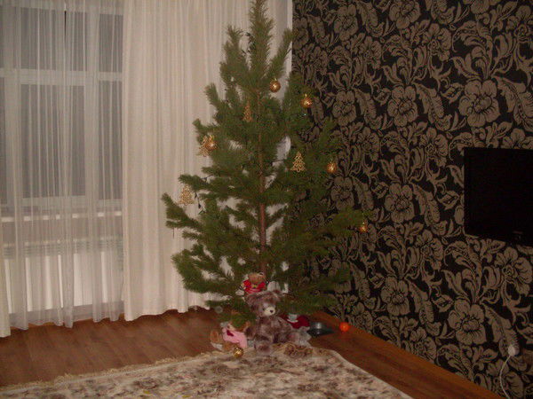 Тимур Шайкамалов