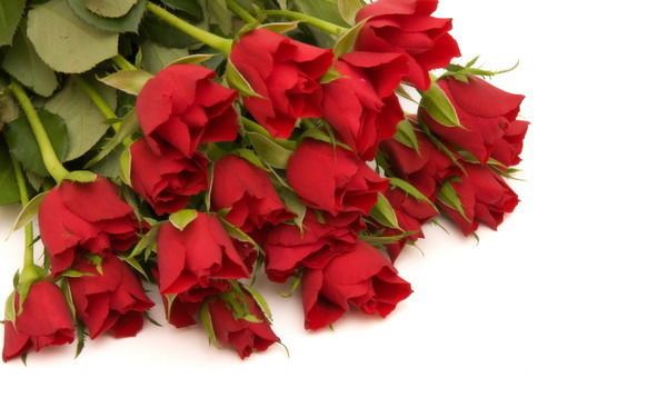 Алма Байгазиева