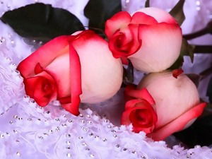 Кристина Коржуева