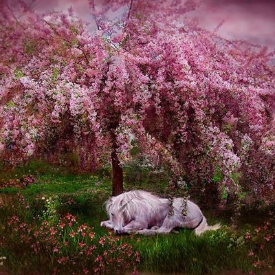 Амина Королева