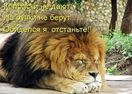 Катюша Оборотень