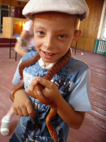 Евгений Новиков