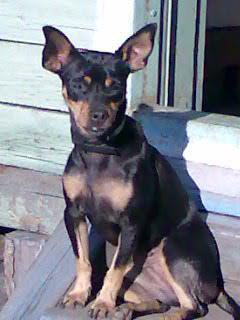 Света Крюкова