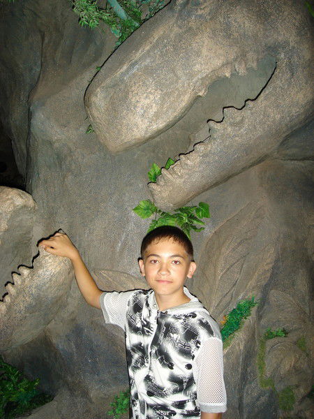 Владимир Васильев