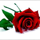 Раушан Калабаева