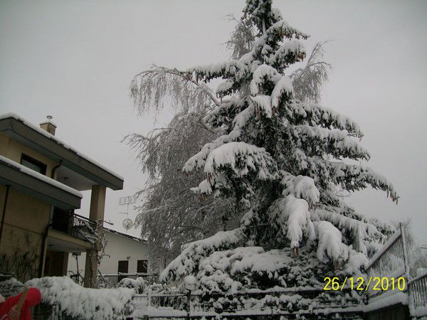 Наташа Иванух