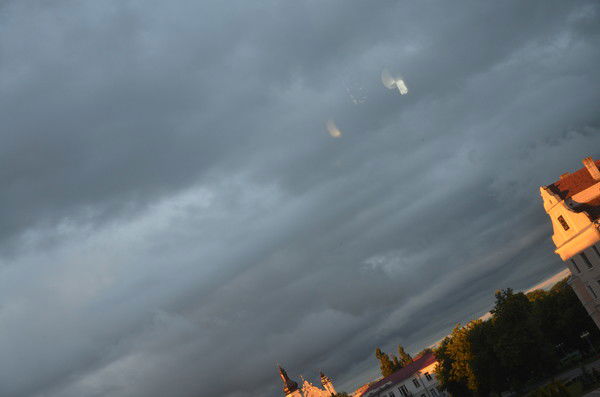 Александр Мартынюк