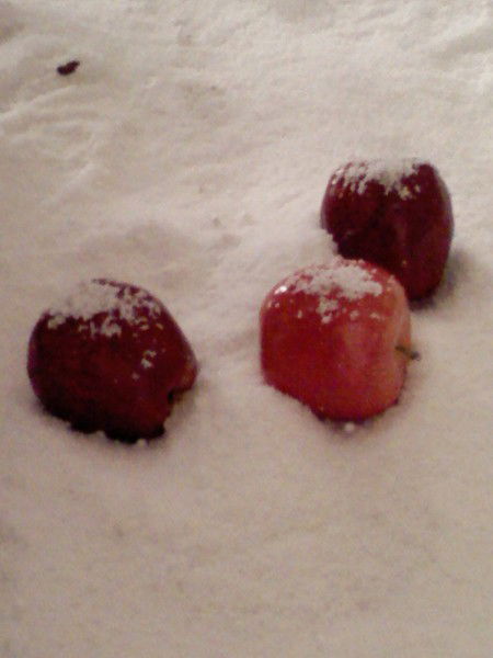 Данияр Токтоназаров