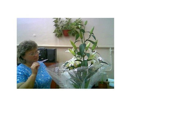 Марина Смолина