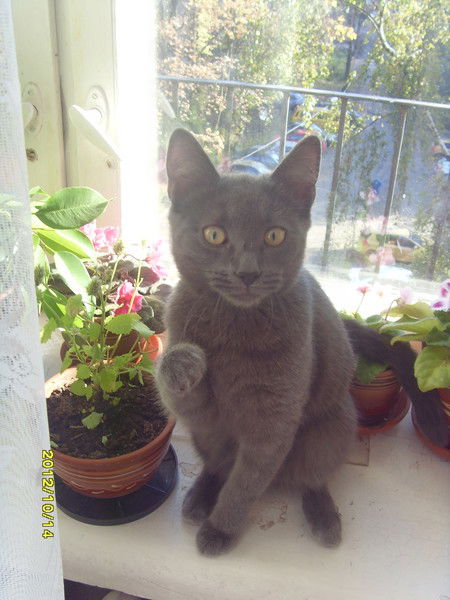 Павел Поляков