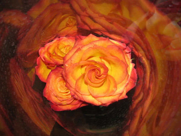 Дмитрий Карманов