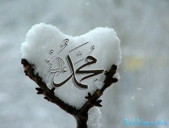 Neizvestno Айбекова