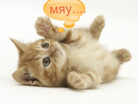 Настюша Лушникова