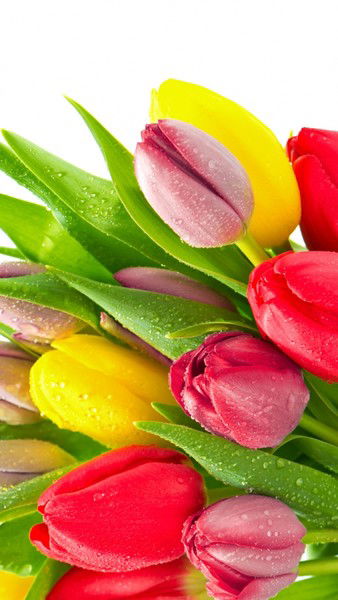 Гульден Тойбекова