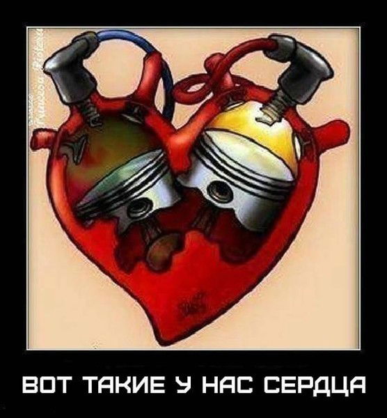 Николай Солоницын