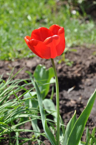 Виталий Харин