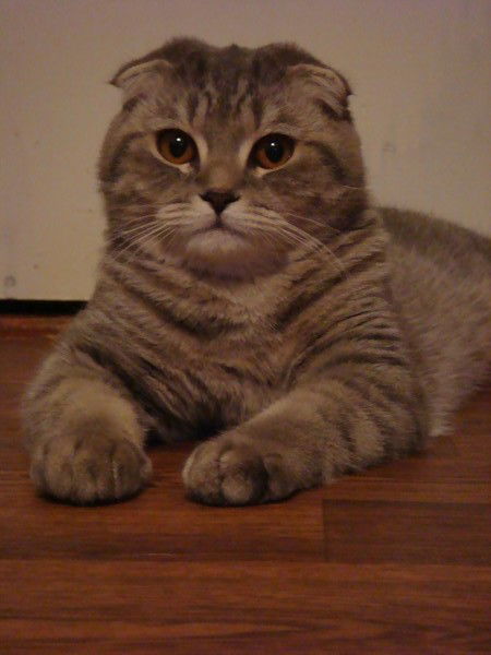 Анна Юрочкина