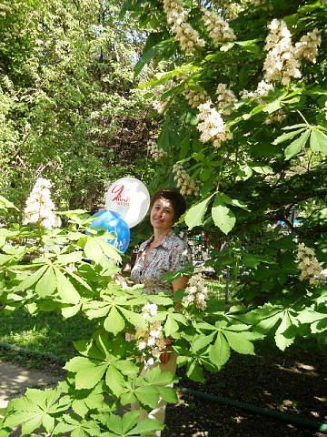 Елена Cкороходова