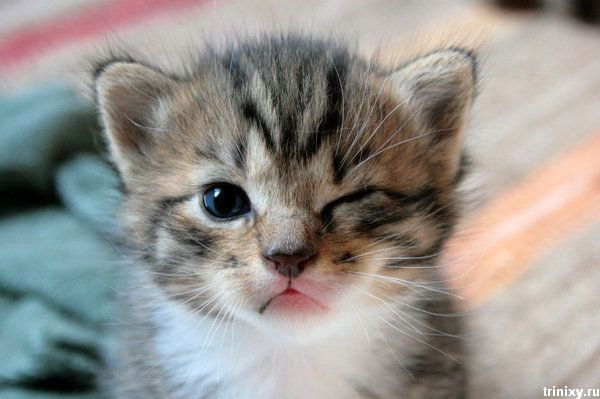 Ксения Поротькина