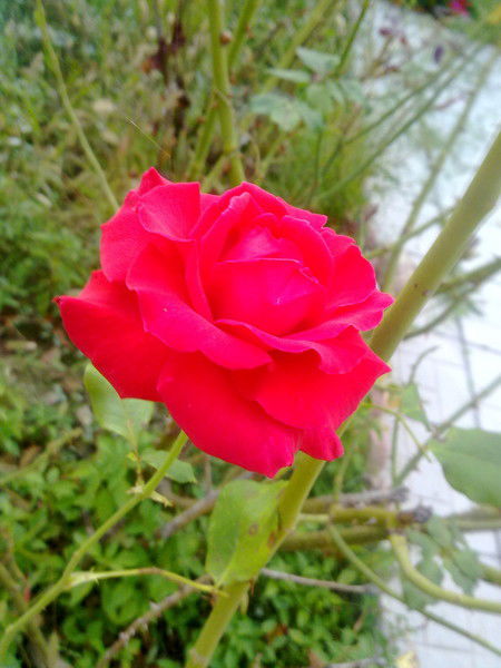 Анастасия Крук