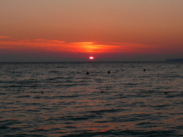 Елена Васильева