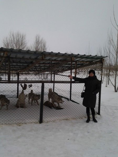 Акмарал Жанибек