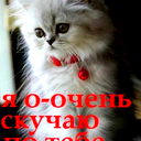 Екатерина Горбунова