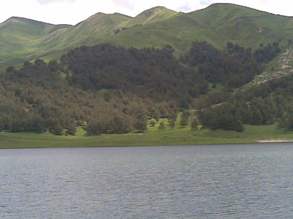 Муслим Аааааа