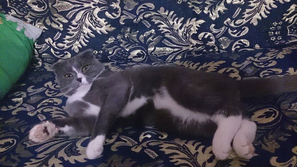 Александра Уляшева